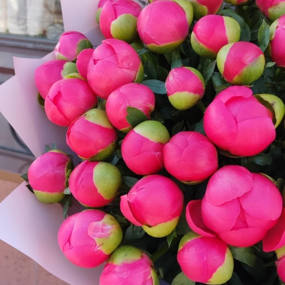 Нереальный букет пионов Коралл Шарм Нереальный букет пионов Коралл Шарм